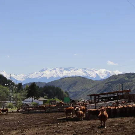 شقة Love Suite بانسكو