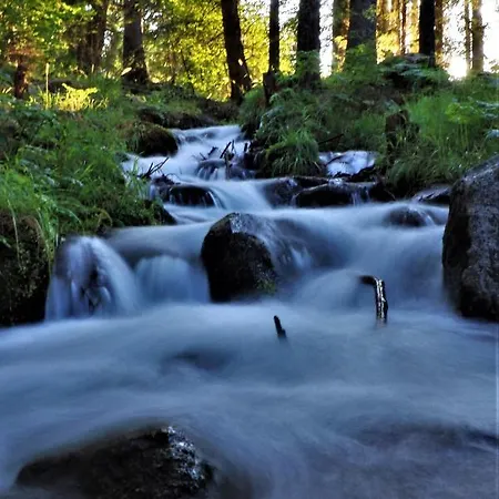 Love Suite * بانسكو