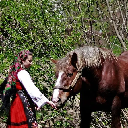 شقة Love Suite بانسكو