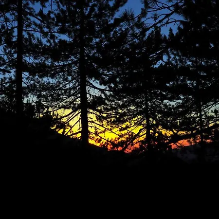 Love Suite شقة بانسكو