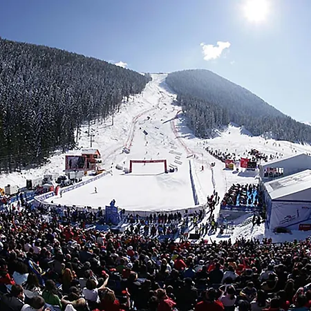 Love Suite Apartament